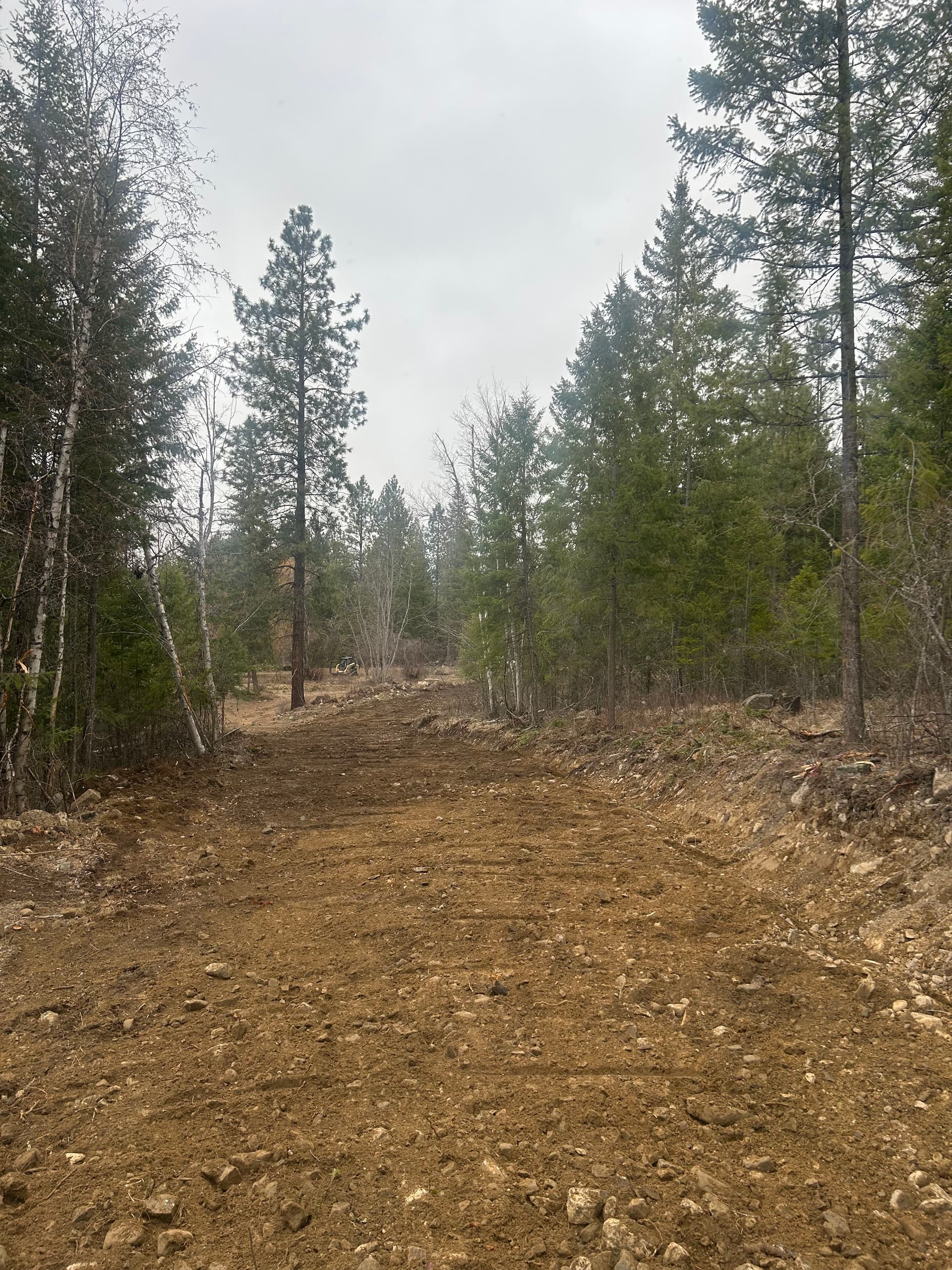 Gallery photos for Creating New Pathways with Precision Excavation: Image #1