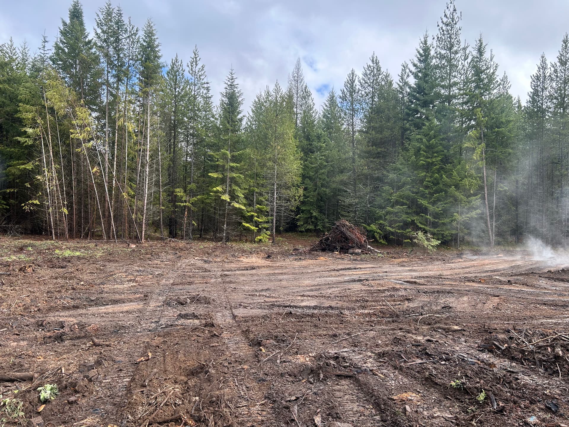 Gallery photos for Old Landing Pile Cleaned Up and Cleared Out: Image #1