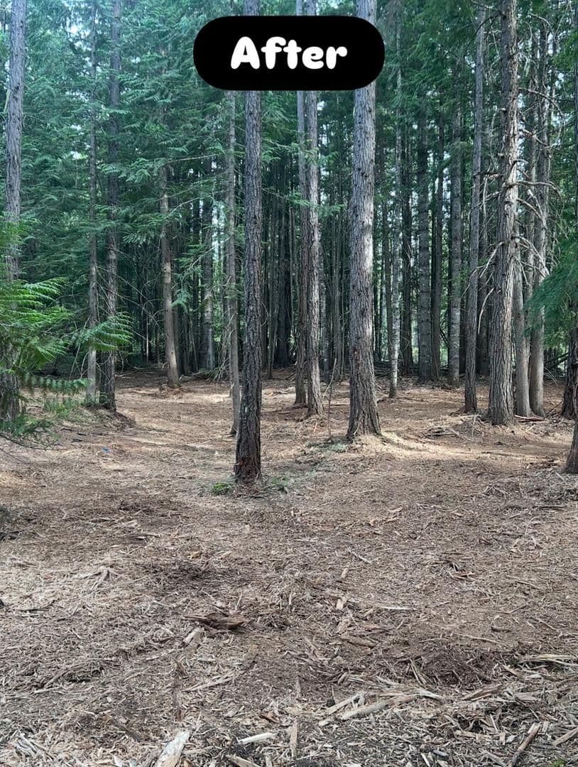 Gallery photos for Thick Brush Gone - Clean Land Ready for Whatever Comes Next: Image #2