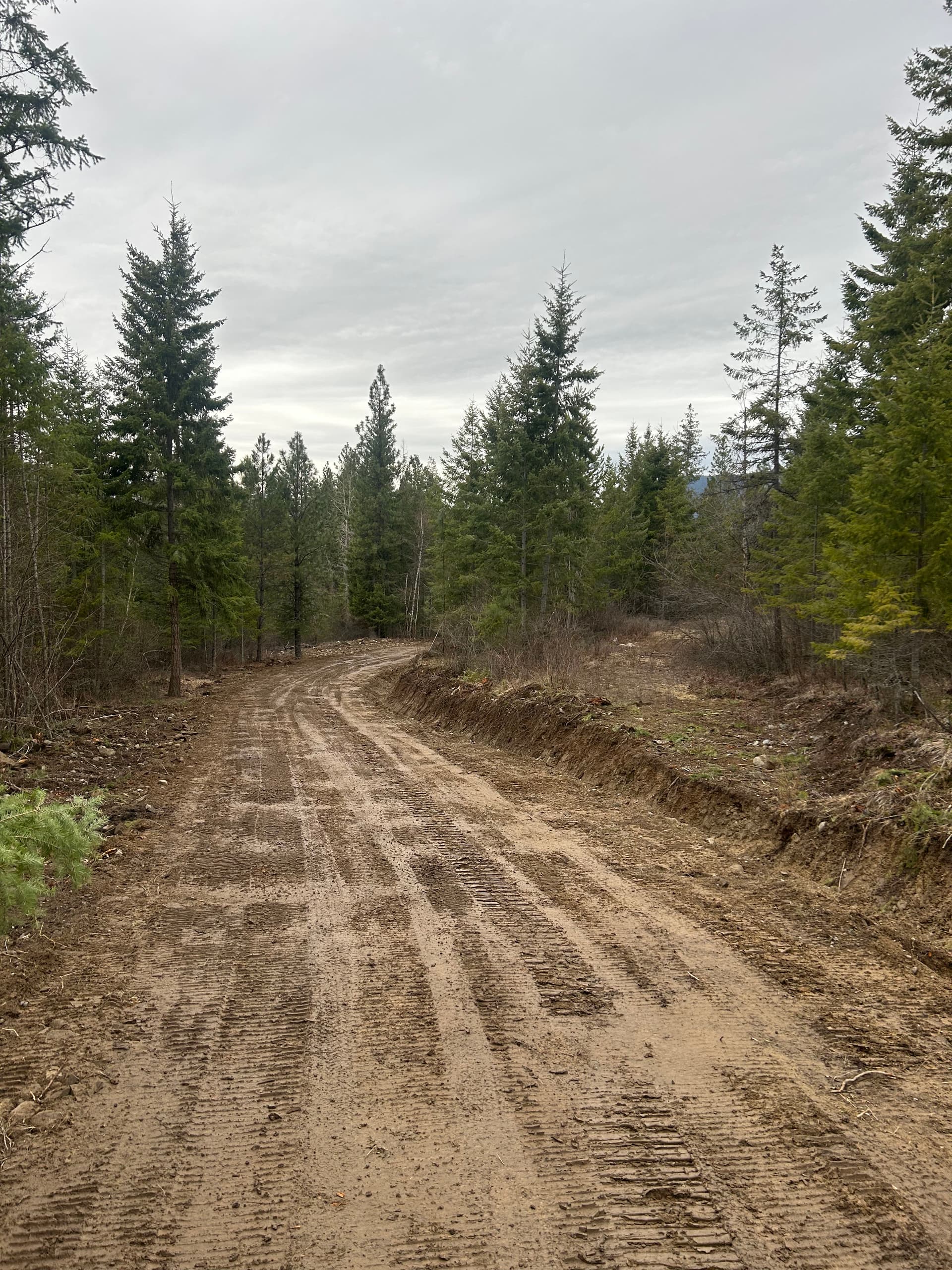 Gallery photos for Site Prep, Driveways, and Finish Grading Done Right: Image #1