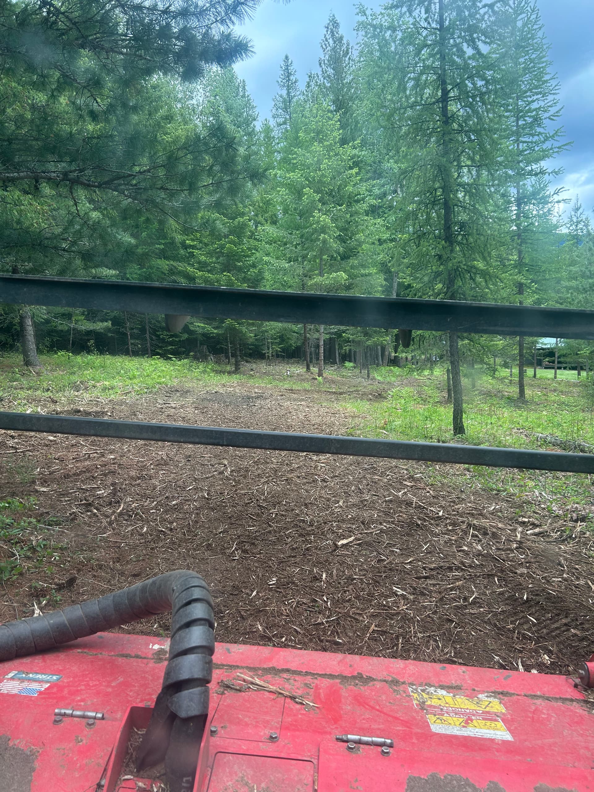 Gallery photos for Storm Blowdown Cleanup and Fire Risk Reduction with Forestry Mulching: Image #1