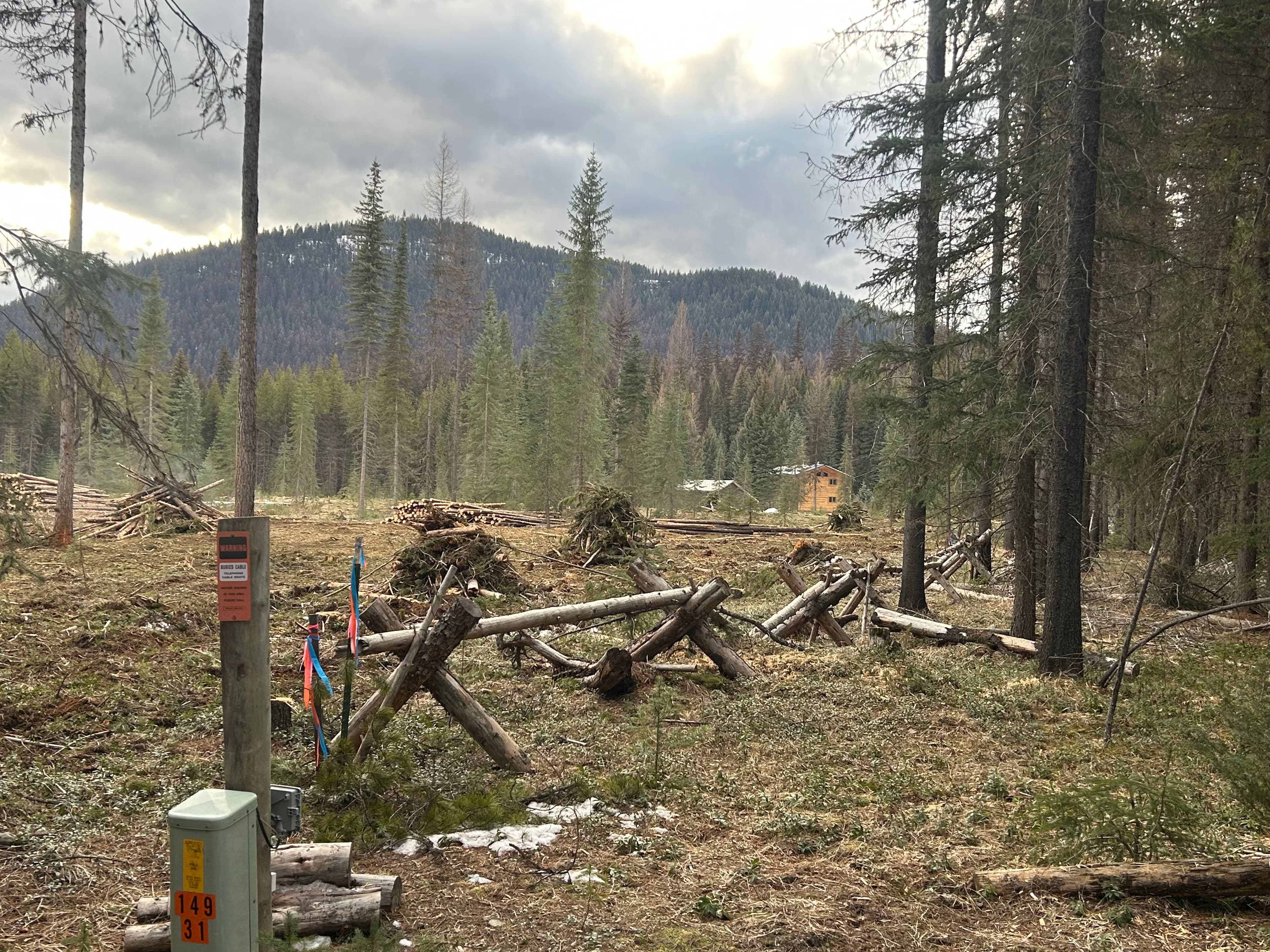 Project Effective Land Clearing for Your Next Build image