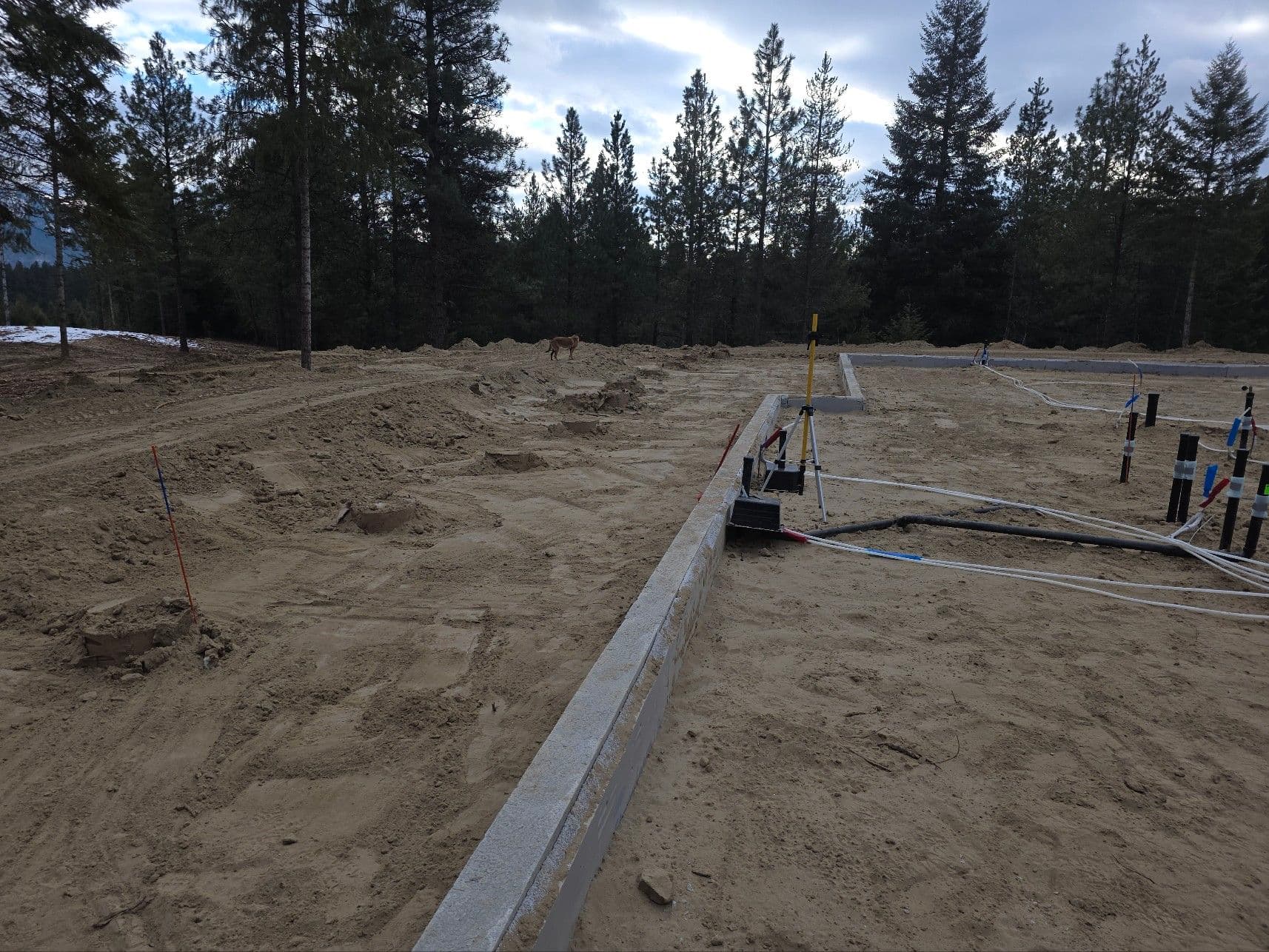 Gallery photos for Comprehensive Site Preparation and Excavation Excellence: Image #1