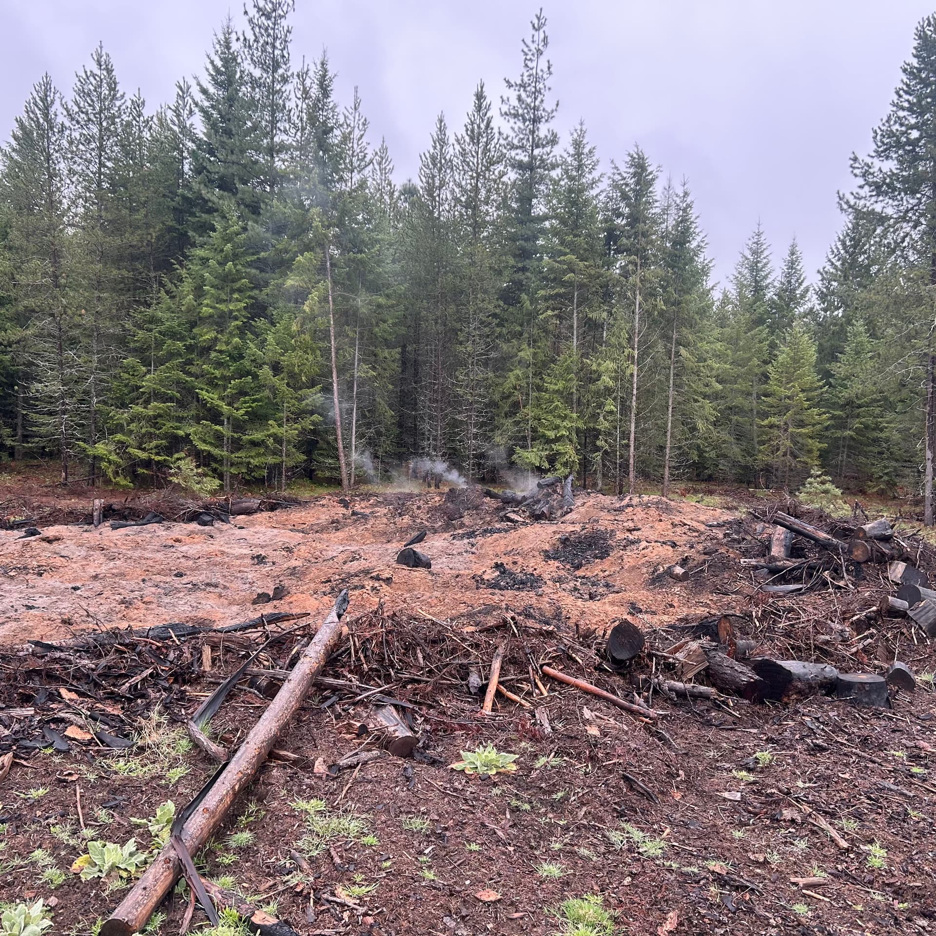 Old Landing Pile Cleaned Up and Cleared Out image