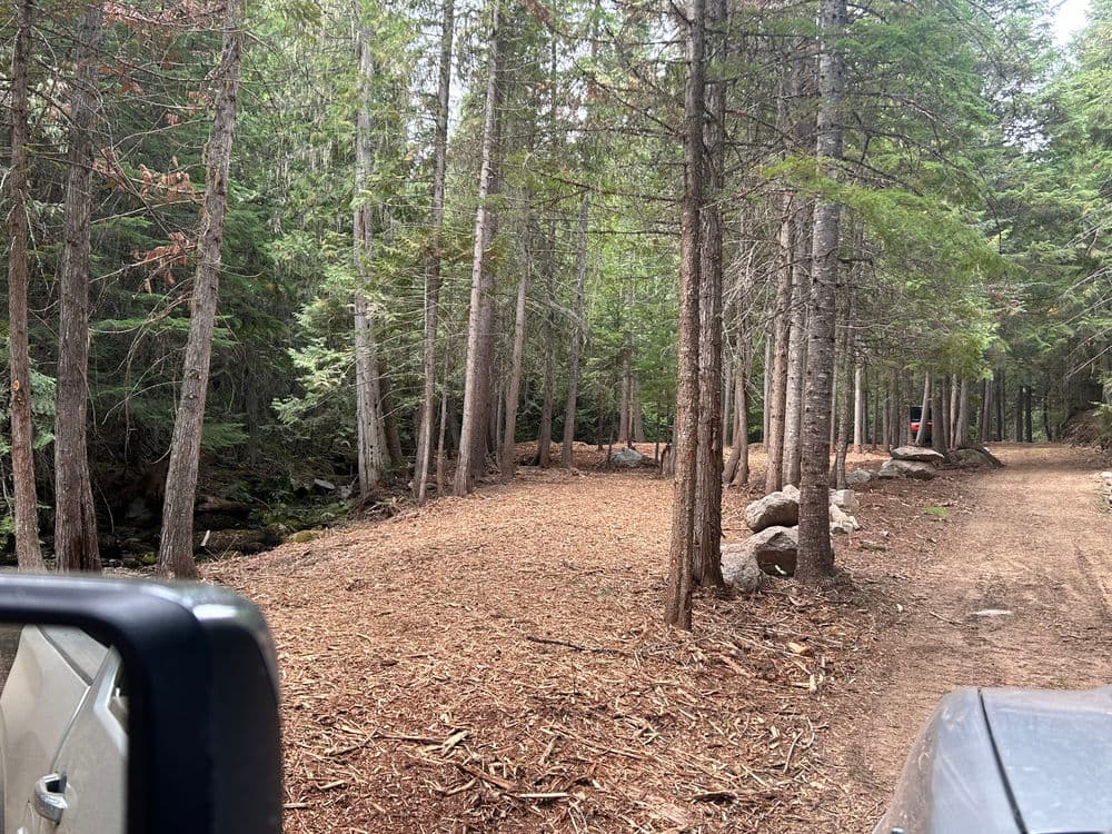 Scenic forest trail lined with trees and rocky terrain near a creek, ideal for outdoor adventures.