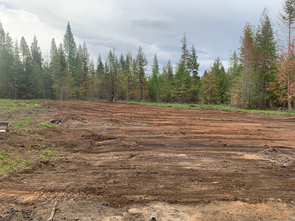 Cleared land in a forest area with newly exposed soil and surrounding trees.