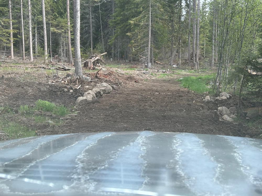 View from a vehicle on a cleared forest path surrounded by trees and greenery.