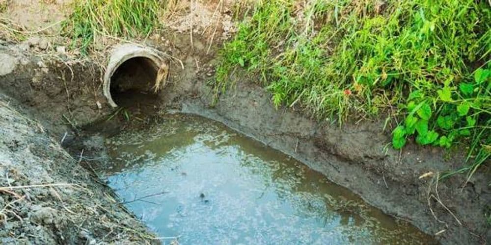 Drainage pipe leading to a muddy water pool surrounded by overgrown grass and foliage.