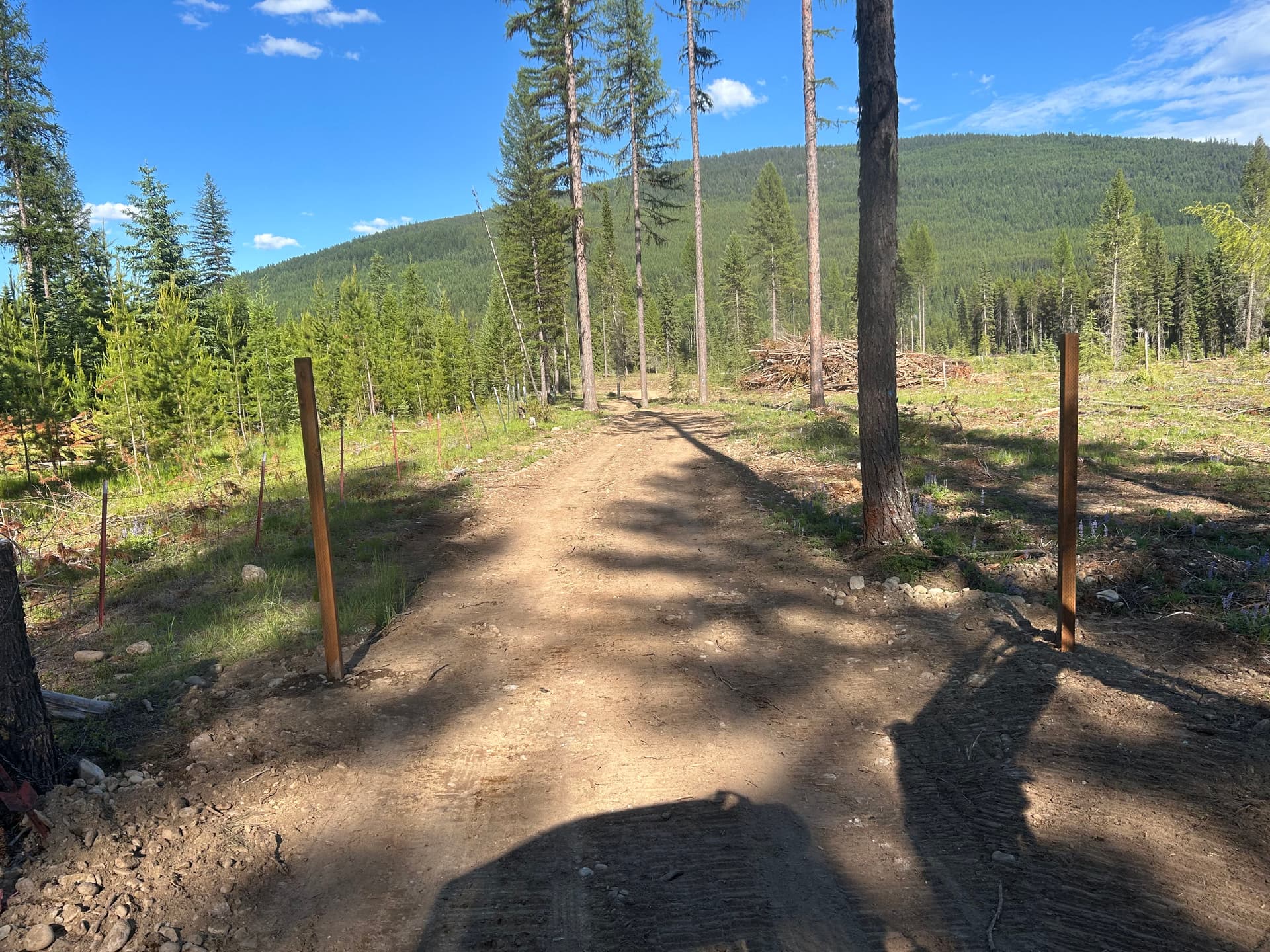 Gate Post Installation on a Cleared Rural Property image